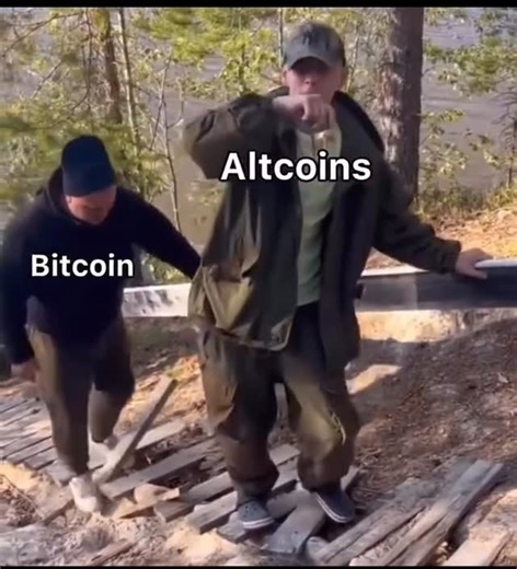 Crypto News & Updates on Instagram: "😂😂 #btc #bitcoin #trader #forex #trading #sp500 #blackrock #eth #solana #pepe #shibainu #notcoin #dogecoin #floki #coinbase #polygon #forextrader #cryptotrader #stockmaret #trump"