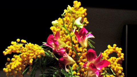 CANON XL2 RESOLUTION TEST (720p)