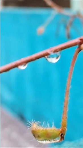Rainy Day Vibes 🌧 | Perfect Ginger Tea Recipe ☕ | Chennai Heavy Rain Vlog | HK Mommy’s Lifestyle
