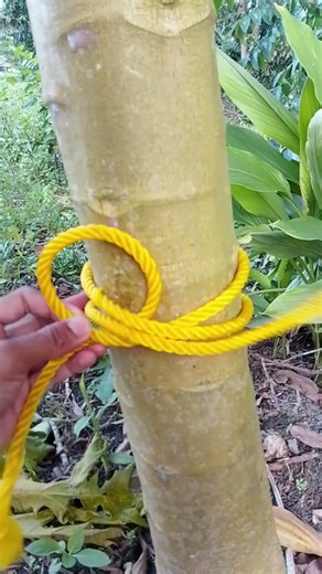 super simple knot trick💯 #knotskills #simpleknot #diy