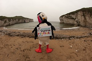 Puffin Information Station | Yorkshire Wildlife Trust
