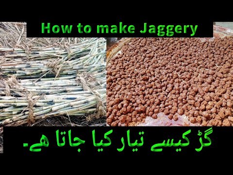 How Jaggery is Made — Full Process from Sugarcane to Jaggery | Our Village