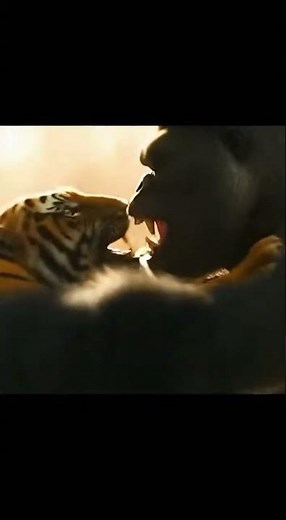 Tiger vs Gorilla | Sunset Waterfall Fight Scene
