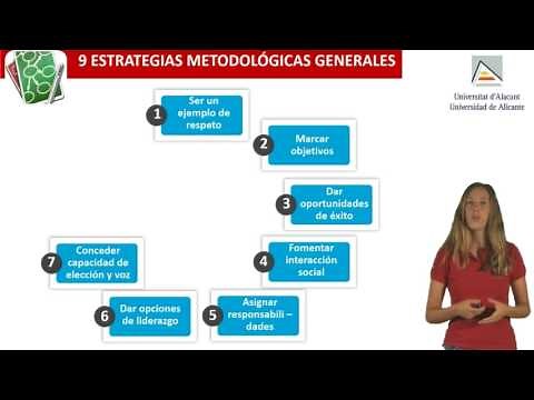 Estrategias metodológicas generales