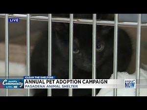 Help KPRC 2 Clear The Shelters