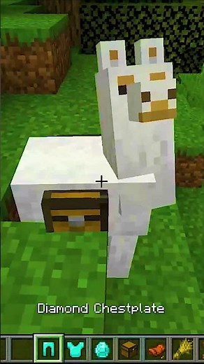 How to tame and ride on llama in minecraft easy method #shorts #minecraft #short