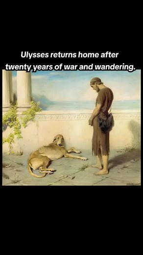 The Heartwarming Story of Ulysses and Argus