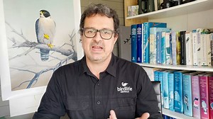 9.9K views · 392 reactions | What bird is that? – Ravens vs Crows! In the leadup to the #AussieBirdCount, our very own Bird Man, Sean Dooley, is talking us through commonly confused birds and how you can tell them apart. In this episode, we’re learning all about Crows and Ravens! Stay tuned for more episodes like this one over the coming weeks and don't forget to sign up for the Aussie Bird Count – https://aussiebirdcount.org.au/ | BirdLife Australia | Facebook