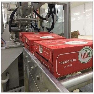 [Hot Item] Tomato Juice Making Machine/Tomato Puree Making Machine
