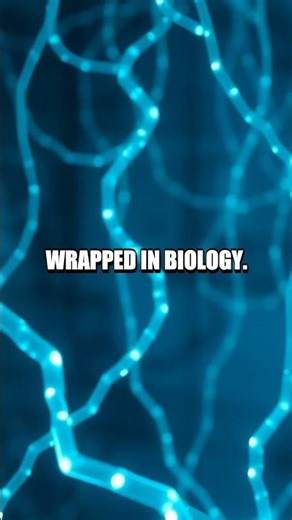 DNA Labyrinth The First DNA Computer