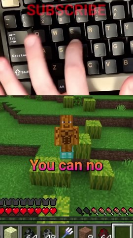 bedrock bugs IVE DEALT WITH!