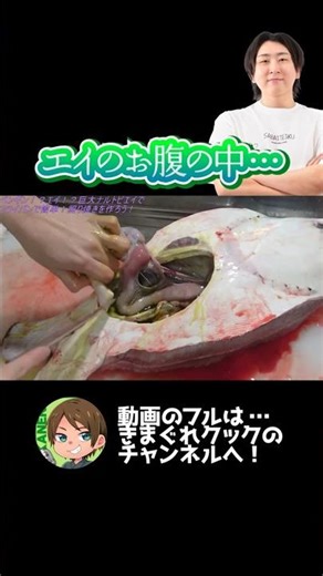 Inside the belly of a ray...