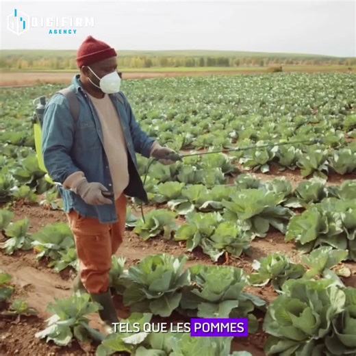 🌱 Formation Vidéo en Agriculture et Élevage : Devenez un Expert Agropastoral ! 🐓 🎯 Pourquoi Choisir Cette Formation ? 🌍 Accessible à Tous les Niveaux : Que vous soyez novice ou déjà actif dans le domaine, ce pack vous accompagne étape par étape dans la maîtrise de l’agriculture et de l’élevage, avec des contenus riches, pratiques et applicables immédiatement. 📚 Contenu de la Formation : 🔰 Pour les Débutants : Introduction aux principes de l’agriculture moderne. Comprendre les cycles de cul