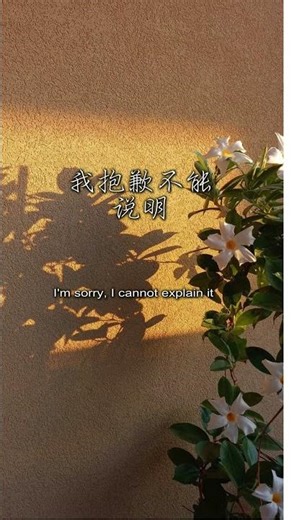 王蓝茵 (Tangerine Wong)- 恶作剧 (Practical Joke) #ariellin #林依晨 #音樂 #cpop #歌詞動画 #shorts