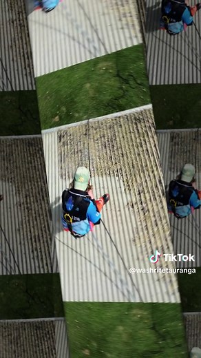 Remove Lichen and Renew Your Roof | Expert Roof Cleaning Services