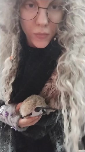 ✖🦴💀~OLI~💀🦴✖ (@oli._.octoalien)’s videos with Christmas Kids - Roar