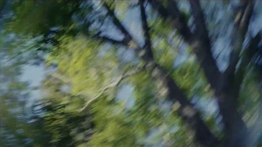 Purina Dog Chow TV Spot, 'Service Dog Salute: PTSD'