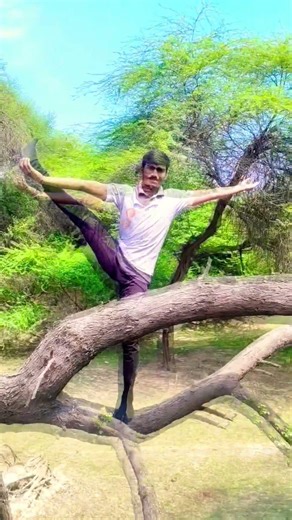 Extreme Yoga Balance on a Tree 🌳 | Advanced Asana Practice​ .Advanced Yoga Pose 🧘‍♂️Focus & Balance