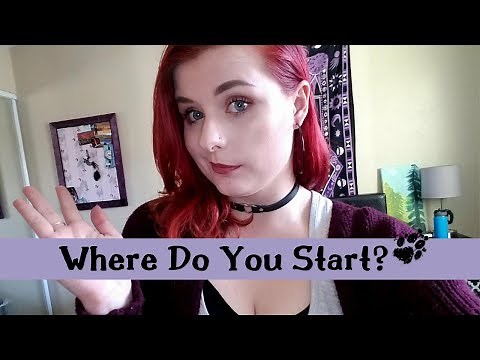 How to Become a Vet Tech - The Steps You Need To Take