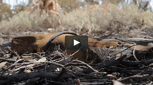 Pitman and Walsh Police Memorial Day 2015