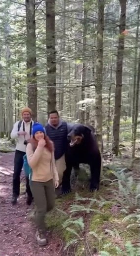 The dog pranked people 😁 They were very scared.