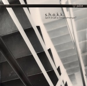 S.H.O.K.K. - Isn't It All A Little Strange?