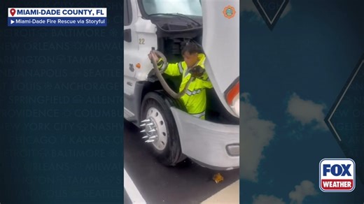 7.8K views · 103 reactions |  SNAKE SURPRISE: A video shows a first responder first pulling an invasive Burmese python from a tractor-trailer’s engine compartment, and then from the back yard of a South Florida home hours later. More: https://www.foxweather.com/earth-space/burmese-python-florida-video-truck-backyard-august-2025 | FOX Weather | Facebook