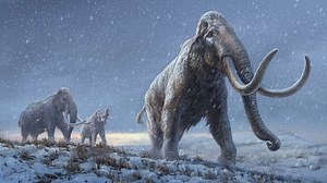 Million-year-old mammoth DNA discovered by scientists in northeast Siberia