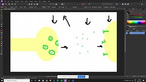 SOLVED:A given neurotransmitter might be excitatory at one synapse and inhibitory at another synapse. (true/false)