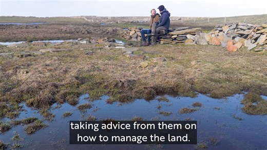 3.3K views · 35 reactions | Farming for nature in Orkney has produced...