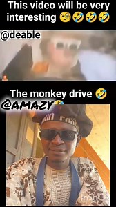 This monkey got driving skills better than some humans! 🐵🚗 He can squeeze between two cars like a pro… but once he saw his fellow monkey, focus vanished! 🤣 Now, na cruise be this! 😂 #MonkeyDriver #NextLevelSkills #CrazyRide #ComedyGold #ViralLaughs #RoadMadness #FocusLost #Trending | Amaziah Kotekamuno