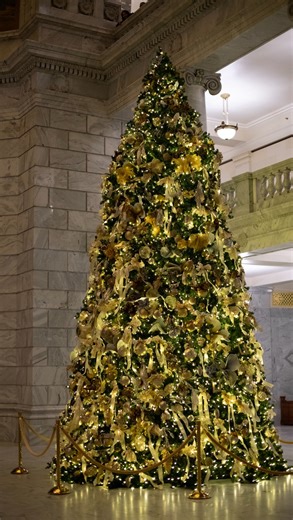 28 reactions | RUN don’t walk to Christmas at the Capitol朗 | Utah Senate | Facebook