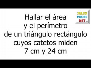 Area and perimeter of a right triangle #julioprofe