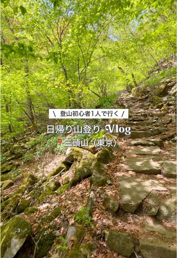 三頭山登山：初心者におすすめのリフレッシュスポット