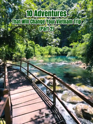The Only Vietnam Food Guide You Needs 🇻🇳🍜 Want to experience Vietnam like a local? Start with the dishes each city is famous for. From Hanoi's legendary bun cha and pho to Ninh Binh's goat meat, Hue's iconic bun bo Hue, Da Nang's mi Quang, Hoi An's cao lau, Da Lat's grilled rice paper, and Ho Chi Minh City's com tam, every stop offers a new flavor worth traveling for. Save this guide before your Vietnam trip—you'll never wonder what to eat again. Follow @vietnamsailytours for more useful Viet