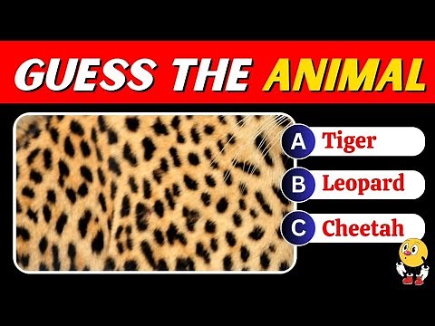 Guess the Animal Quiz: Can You Guess the Creatures by Their Unique Textures? 🐾🔍