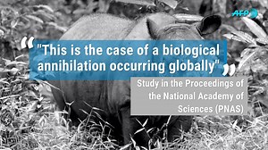 The sixth mass extinction of life on Earth is unfolding more quickly than feared, scientists warn | AFP News Agency