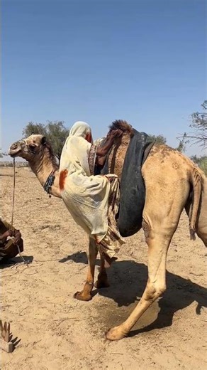 نية زوجة شاراثار، أنتوني، الذهاب إلى القرية في يوم هولي