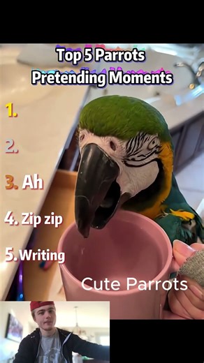 “Top 5 Parrots That ACT Like Humans Funniest Pretending Parrots Compilation”