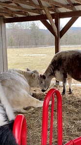 206K views · 16K reactions | In November, The Atlantic shared an...