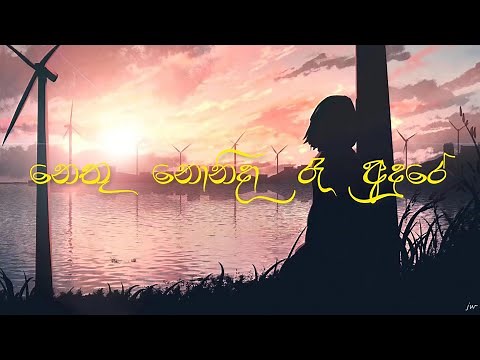 Nethu Nonida Ra Adure | (නෙතු නොනිදා රෑ අදුරේ) | Oya Langin | (ඔයා ළගින්) | Sinhala Lyrics Video