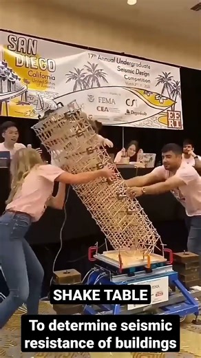 Earthquake vs Building Model