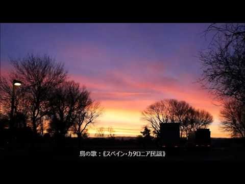 鳥の歌：《スペイン・カタロニア民謡》