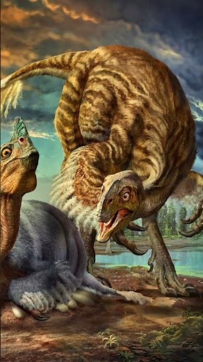 The egg of a giant #geology #science #fossil #paleontology