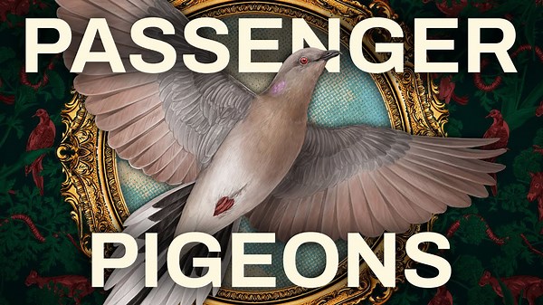The extinction (and de-extinction?) of the passenger pigeon