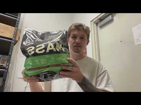 What you need to know about this ON Serious Mass Protein