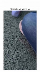 #RomanticFeelings | All About Memes