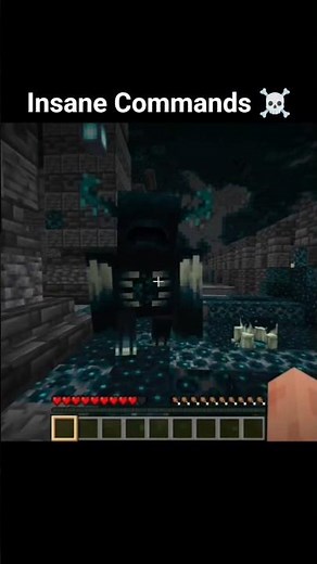 Minecraft Commands that will shock you💀!!