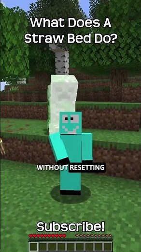 What Can You Do With A Straw Bed In Minecraft?!