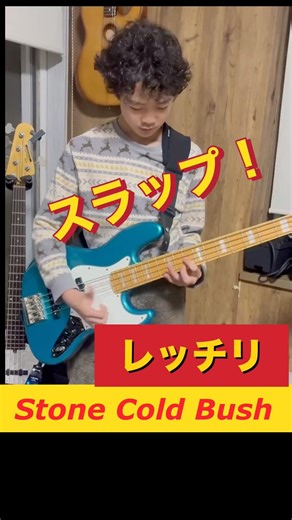 小5が奏でるスラップベース名曲「Stone Cold Bush」レッド・ホット・チリ・ペッパーズ #shorts #スラップベース